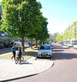 Twee kinderen op straat in Dreven, Gaarden en Zichten. De straat wordt gescheiden door een stuk gras met bomen erop. In de parkeervakken naast het groen, en naast de woningen aan weerszijden van de straat, staan auto's geparkeerd.